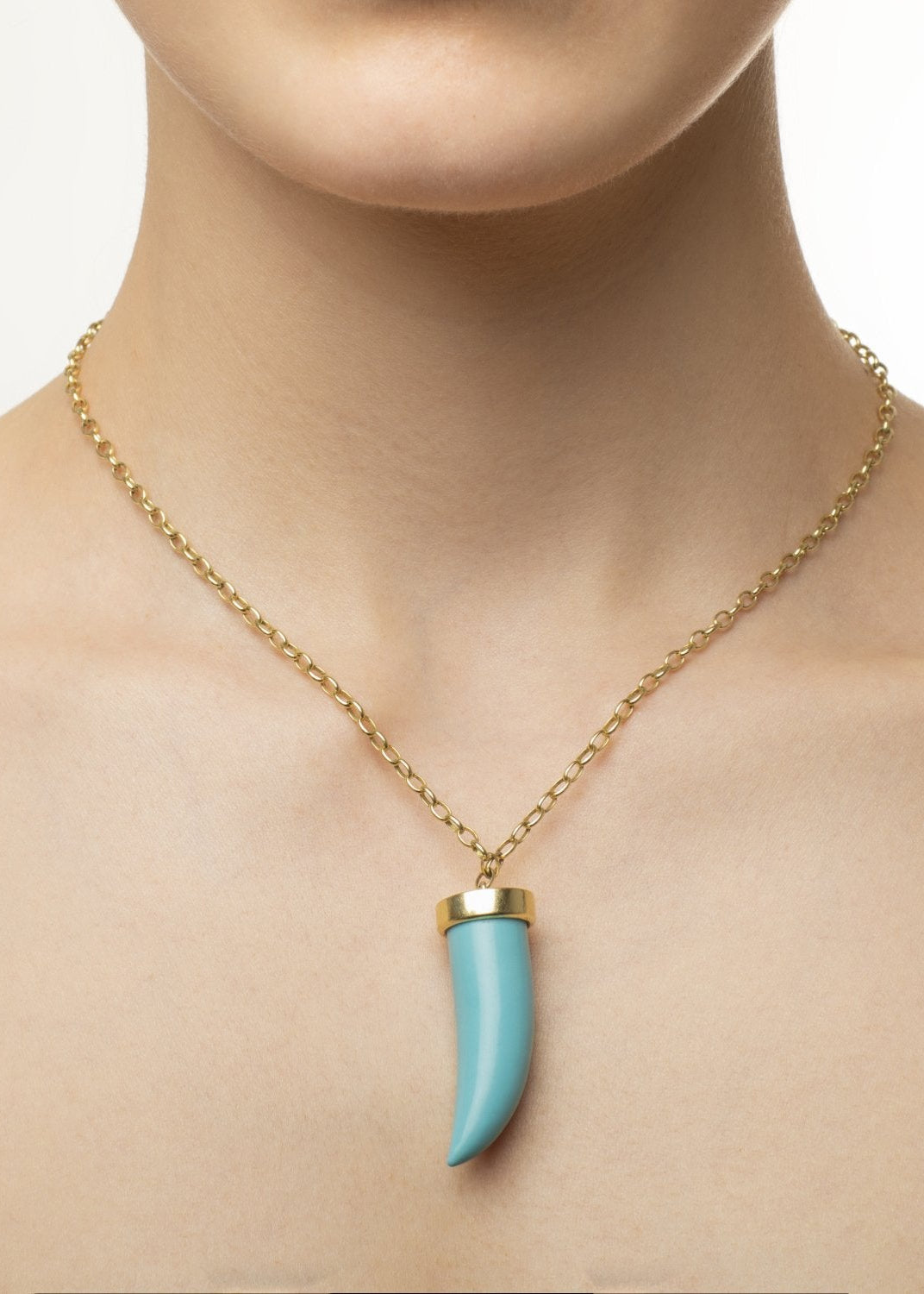 Turquoise Fang Necklace