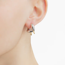 Load image into Gallery viewer, Silver Pierced Earrings
