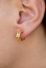 Load image into Gallery viewer, Grid Curve Earrings
