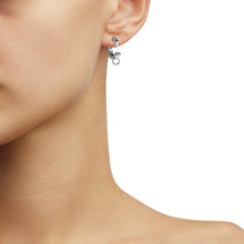 Load image into Gallery viewer, Fang Earrings With SW Crystals
