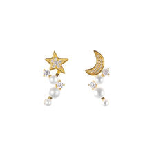 Load image into Gallery viewer, Starry Sky Earrings
