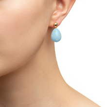 Load image into Gallery viewer, Mini drop Earrings
