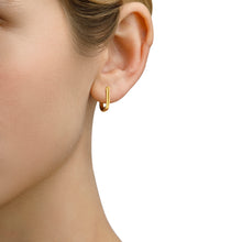 Load image into Gallery viewer, Small Capsule Earrings
