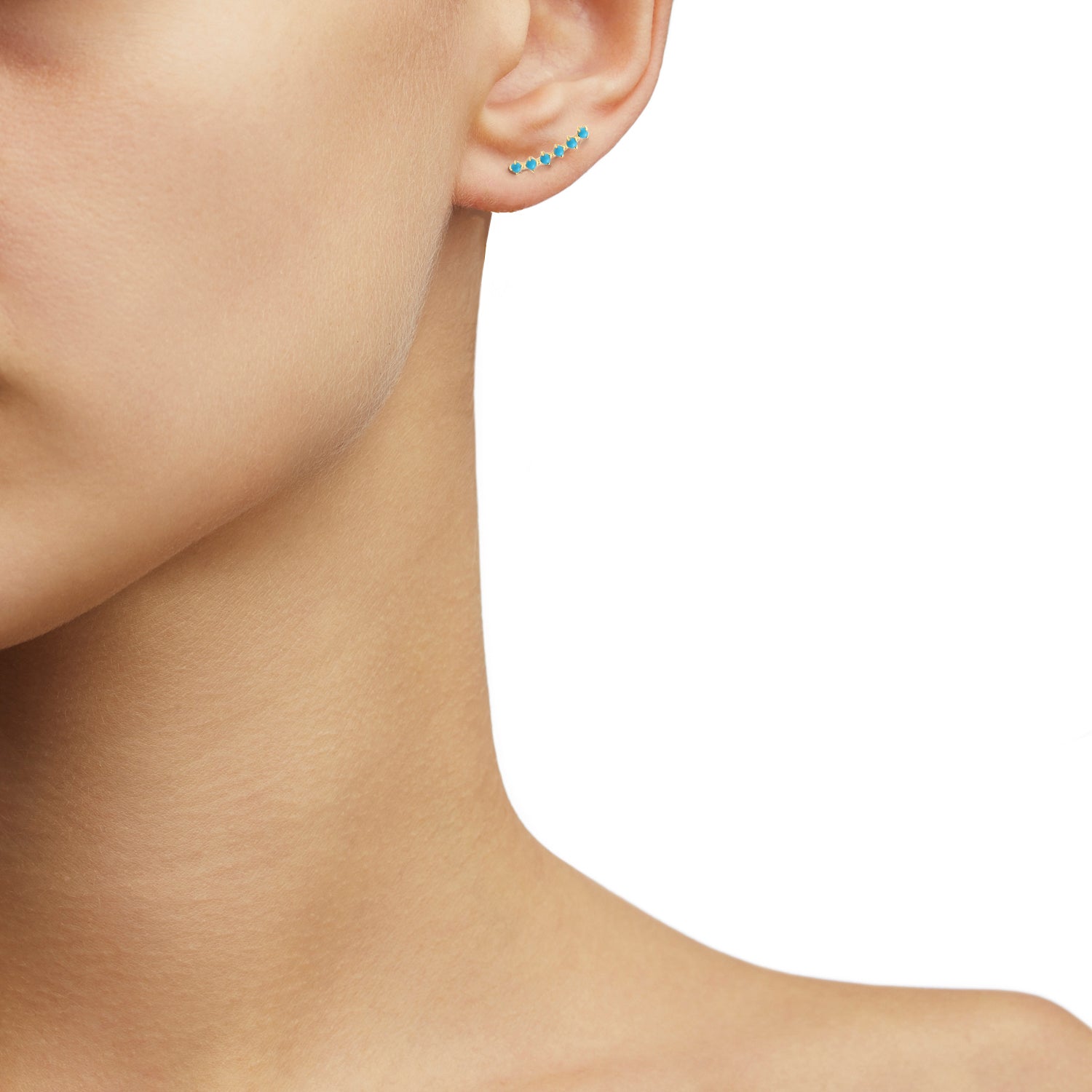 Turquoise Horizon Earring